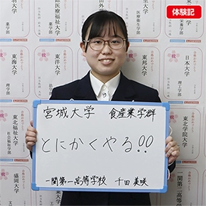 千田美咲