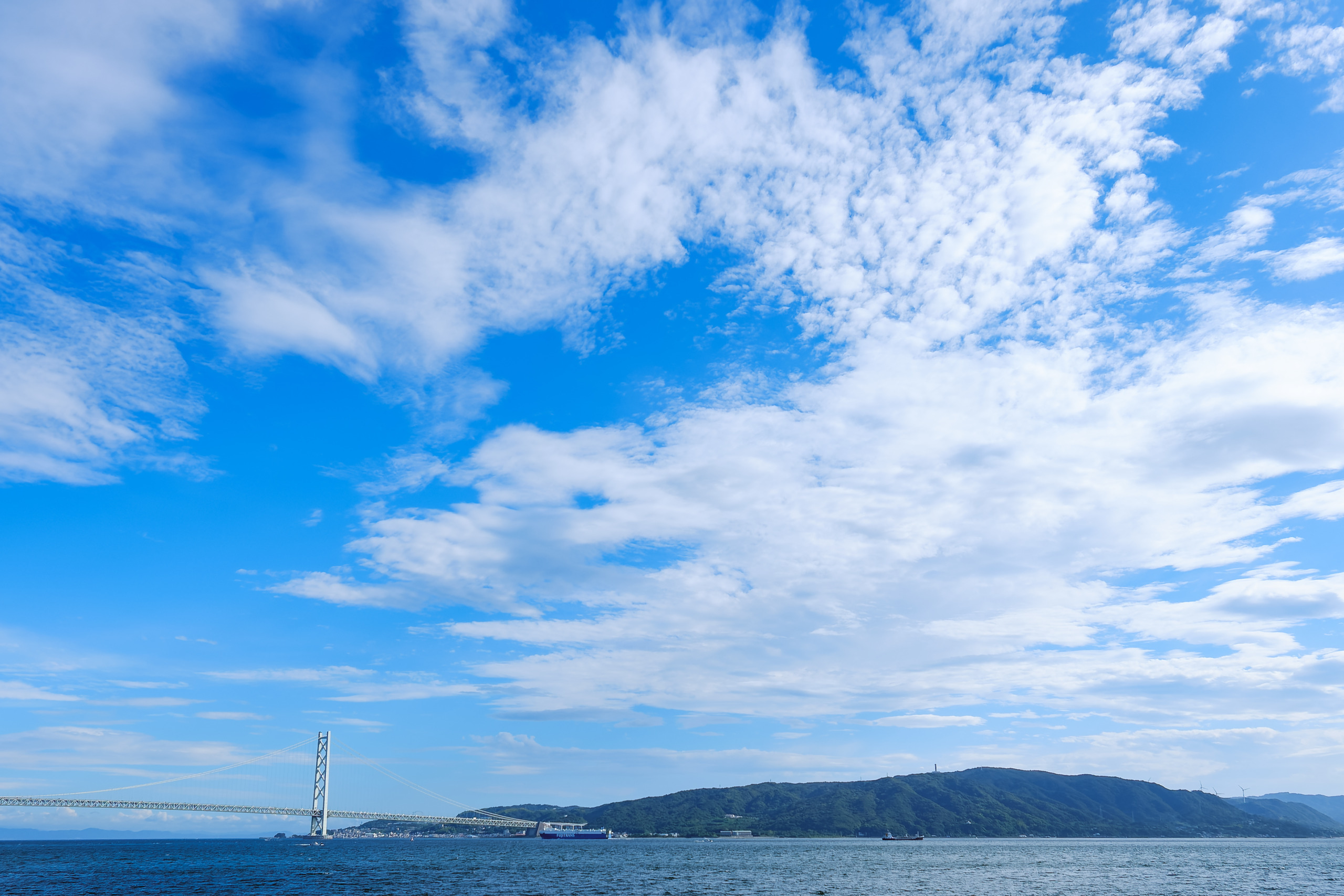 夏休みの課題は順調に進んでますか？